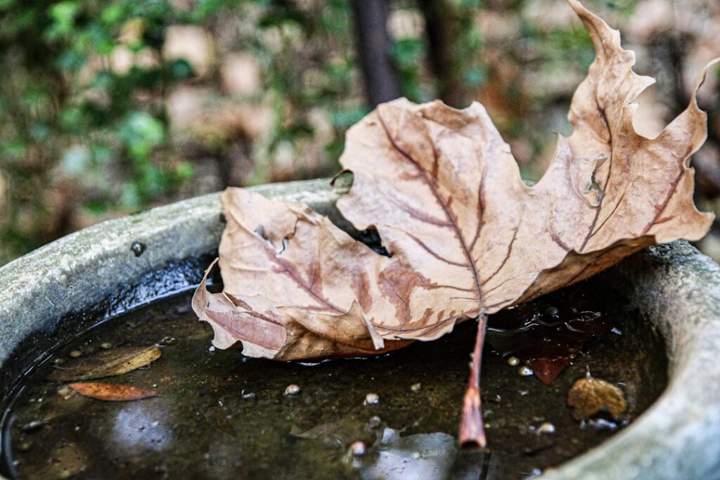 Wat gebeurt er met je pensioen als je overlijdt zonder partner?
